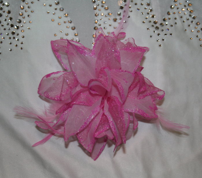 dbt3.rosa.700.jpg